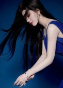 加第十一届喷鼻山论坛